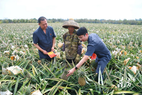 nEO_IMG_p1-构建新安全格局 护航高质量发展 广东交出“十四五”平安法治建设高分答卷 .jpg